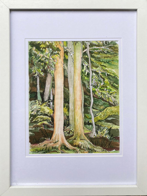 Trees at Tuross