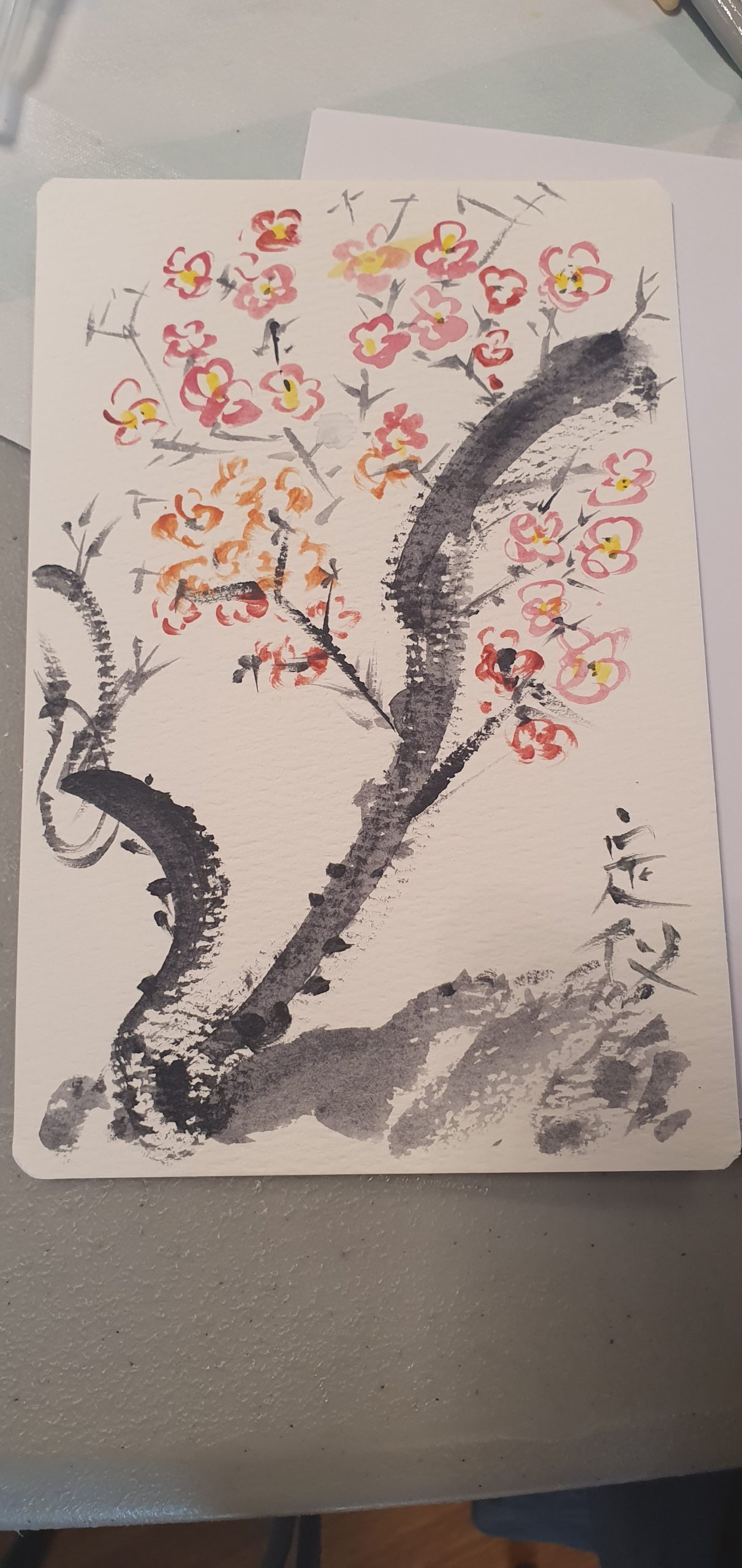 Chinese plum blossom (A6)
